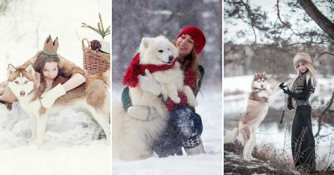 Необычные зимние фотосессии на улице собаки
