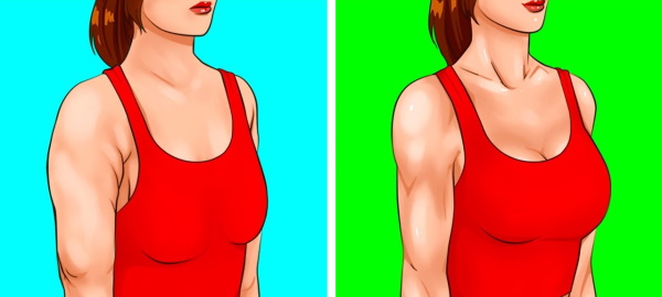 Упражнение для грудных мышц для девушек: пуловер, с гантелями и другие. Программа в тренажёрном зале, домашних условиях